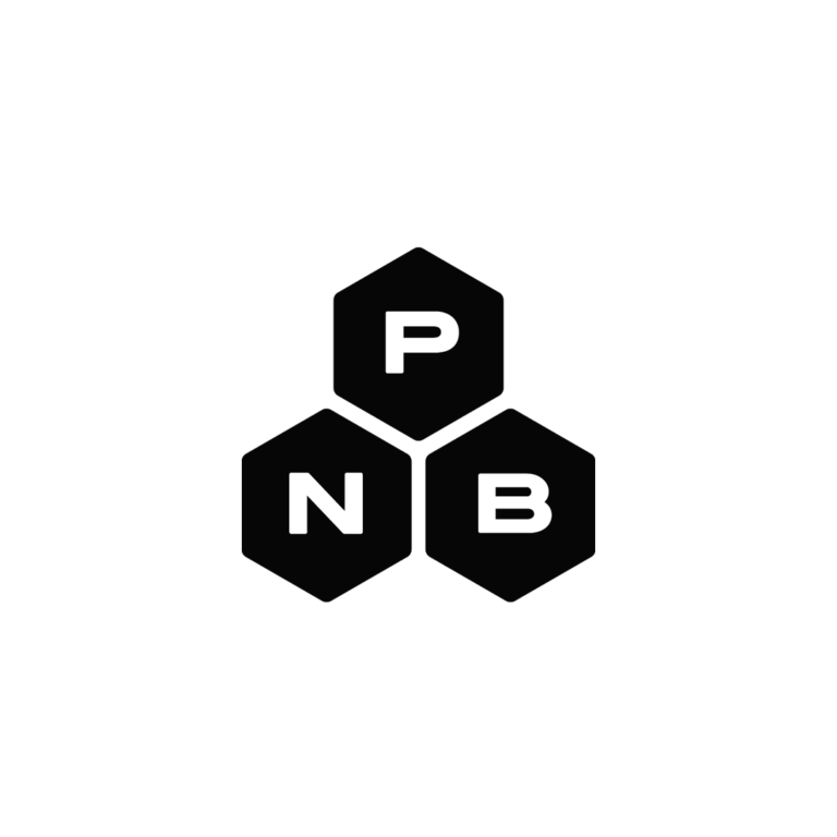 pnb g